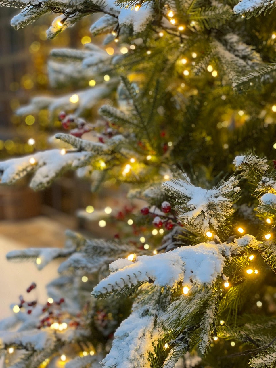 The Christmas Corner