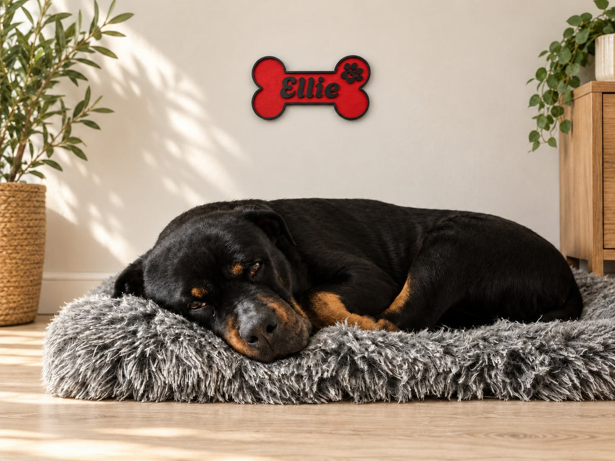 Personalized Dog Crate Name Sign – Custom Wooden Dog Bone Plaque for Crate & Kennel